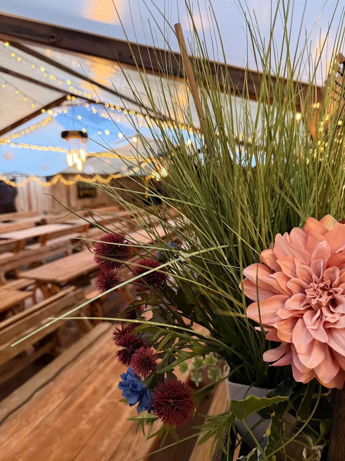 Dahlie in Apricot und Gräser, dahinter unscharf Lichterketten und Holztafeln im Festzelt