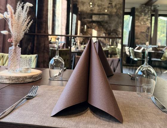 Serviette und Dekoration auf dem gedeckten Tisch